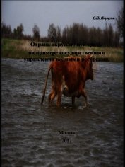 Охрана окружающей среды на примере государственного управления водными ресурсами