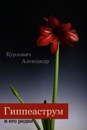 Гиппеаструм и его родня