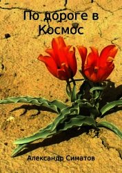 По дороге в Космос