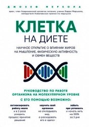 Клетка «на диете». Научное открытие о влиянии жиров на мышление, физическую активность и обмен вещес