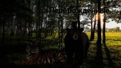 Перерождённые (СИ)