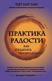 Хан Тит - Практика радости. Как отдыхать осознанно