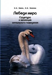 Лебеди мира. Структура и эволюция сигнального поведения