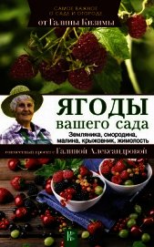 Ягоды вашего сада. Земляника, смородина, малина, крыжовник, жимолость