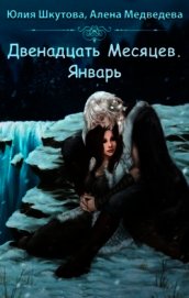 Книга Двенадцать месяцев. Январь(СИ) Двенадцать месяцев. Январь(СИ)