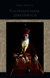 Сострадательная деятельность