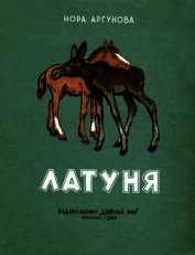 Книга Латуня Латуня