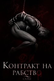 Контракт на рабство. Рэй (СИ)