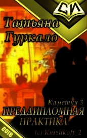 Преддипломная практика (СИ)