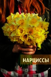 Книга Нарциссы (СИ) Нарциссы (СИ)