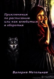 Приключения по расписанию, или как влюбиться в оборотня (СИ)