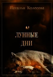 Книга Лунные дни (СИ) Лунные дни (СИ)