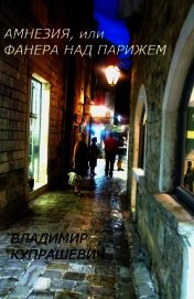 Амнезия, или Фанера над Парижем (СИ)