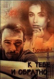 К тебе и обратно (СИ)