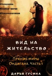 Вид на жительство (СИ)