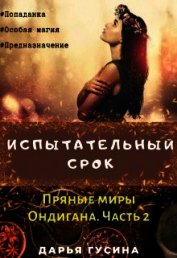 Испытательный срок. (СИ)