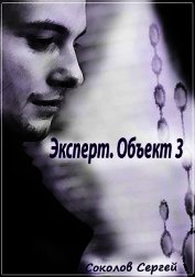Эксперт. Объект 3 (СИ)