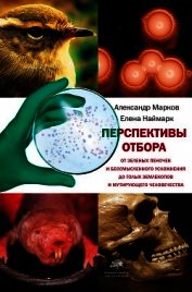 Перспективы отбора