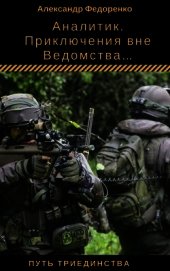 Книга Аналитик (СИ) Аналитик (СИ)