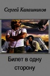 Книга Билет в одну сторону (СИ) Билет в одну сторону (СИ)