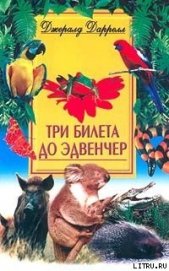 Книга Три билета до Эдвенчер Три билета до Эдвенчер
