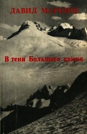 В тени Большого камня<br />(Роман)