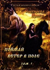 Поймай ветер в поле. Удержать ветер (СИ)