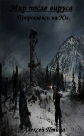 Мир, после вируса. Прорываясь на Юг (СИ)