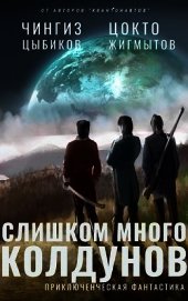 Слишком много колдунов (СИ)