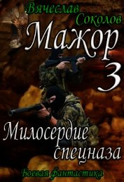 Соколов Вячеслав Иванович - Милосердие спецназа (СИ)
