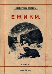 Книга Ёжики<br />(1905 г. Совр. орф.) Ёжики<br />(1905 г. Совр. орф.)