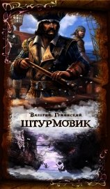 Книга Штурмовик (СИ) Штурмовик (СИ)