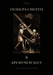 Пещера смерти в дремучем лесу<br />(Два готических романа)