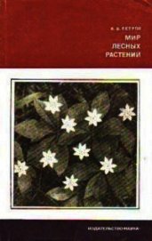 Мир лесных растений