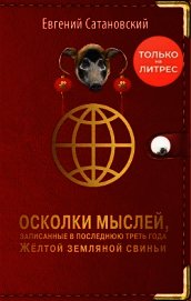 Осколки мыслей, записанные в последнюю треть года Жёлтой Земляной Свиньи