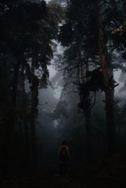 Книга Выход без входа (рассказ) (СИ) Выход без входа (рассказ) (СИ)