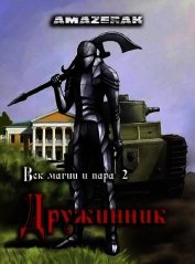 Дружинник (СИ)