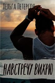 Навстречу вихрю (СИ)
