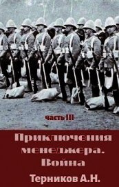 Приключения менеджера. Война (СИ)