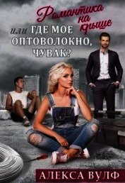 Романтика на крыше, или Где мое оптоволокно, чувак? (СИ)