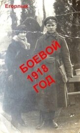 Боевой 1918 год (СИ)