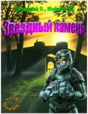 Книга Звездный камень (СИ) Звездный камень (СИ)