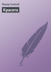 Книга Красота Красота