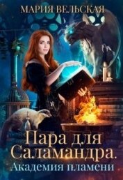 Книга Пара для саламандра. Академия драконьего пламени (СИ) Пара для саламандра. Академия драконьего пламени (СИ)