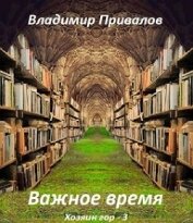Книга Важное время (СИ) Важное время (СИ)