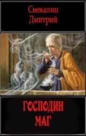 Книга Господин маг (СИ) Господин маг (СИ)