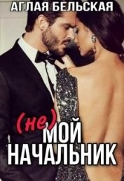 Книга (Не) мой начальник (СИ) (Не) мой начальник (СИ)