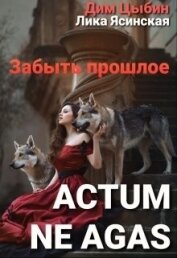 Цыбин Дим - Actum ne agas. Забыть прошлое (СИ)