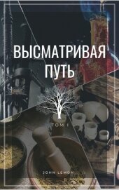 Высматривая путь. Том I (СИ)