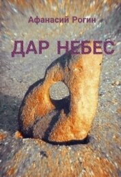 Книга Дар небес (СИ) Дар небес (СИ)